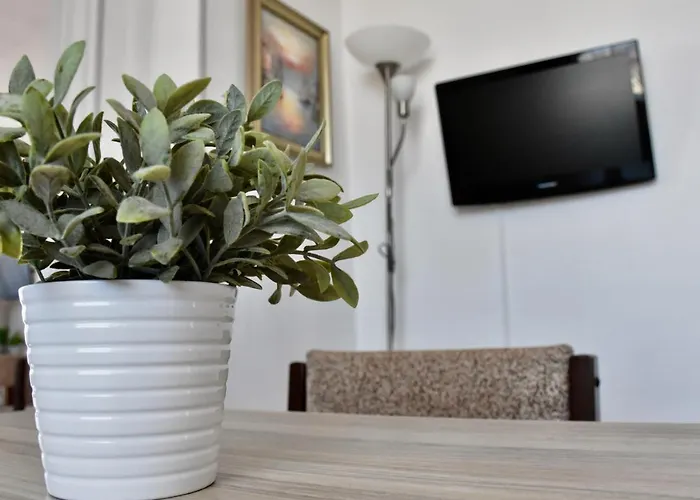 Family Apolonia Süzebolu